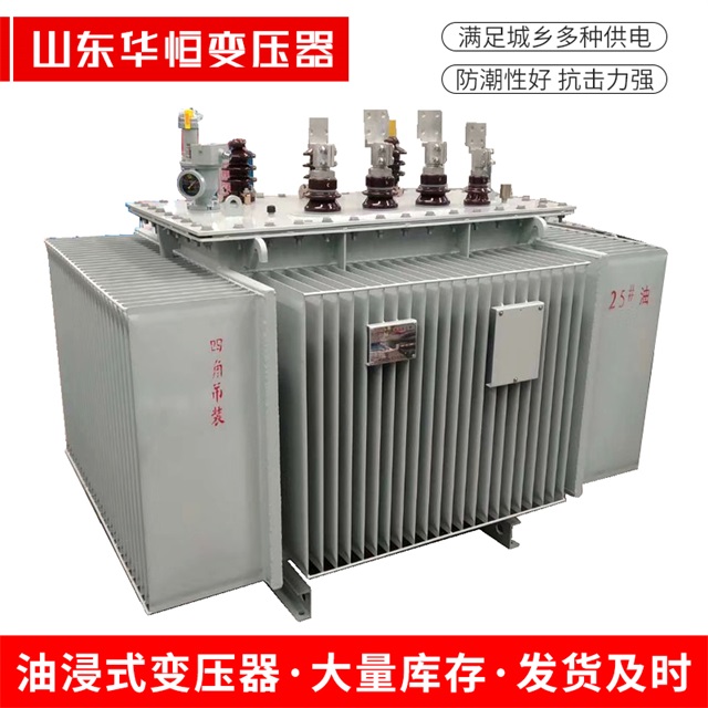 S13-10000/35信州信州信州电力变压器厂家 S13-10000/35信州信州信州电力变压器厂家
