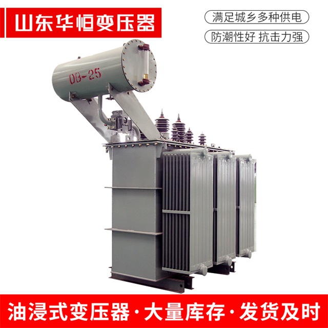 S11-10000/35信州信州信州电力变压器厂家