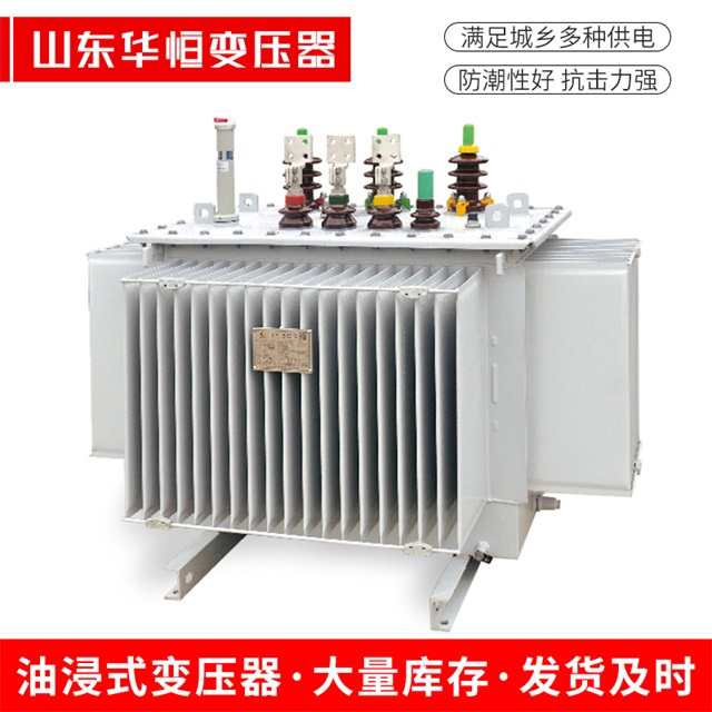 S13-10000/35信州信州信州电力变压器